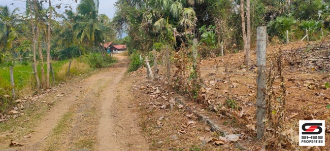 House plot for sale in Kottekad, Palakkad