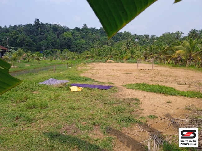 Residential land for sale in Thalayolaparambu, Kottayam