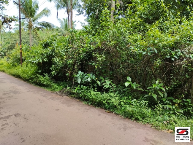 Plot for sale at Chala, Kannur