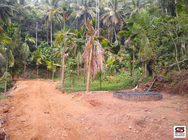 Land for sale at Panampilavu, Malappuram
