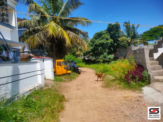 Land for sale near Kalmandapam, Palakkad