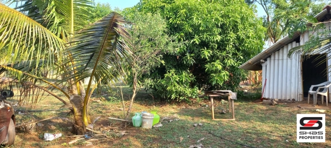 Farmland for sale in Eruthempathy, Palakkad