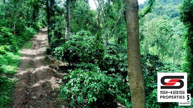 Coffee estate for sale in Ponnampet, Coorg