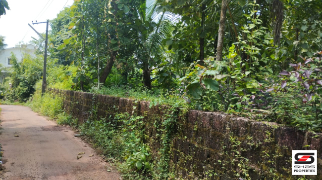 Plot for sale in Mundayad, Kannur