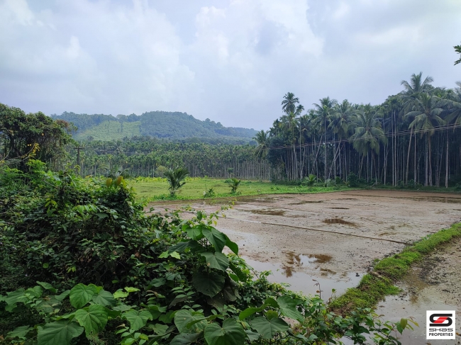 Land with traditional house for Sale at Mannarkad, Palakkad