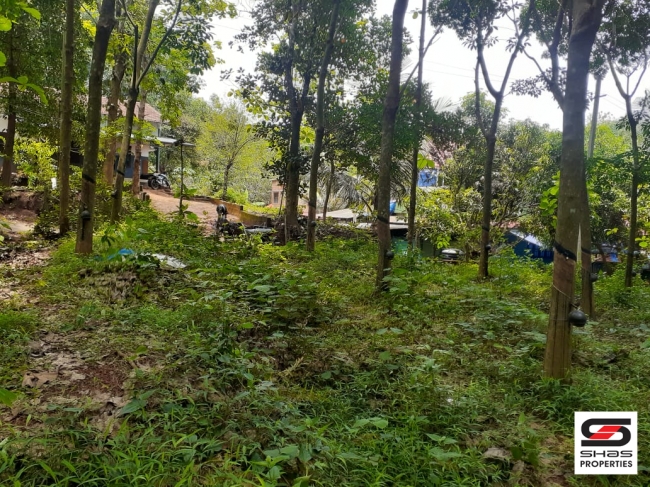 Rubber plot for sale at Nilambur, Malappuram
