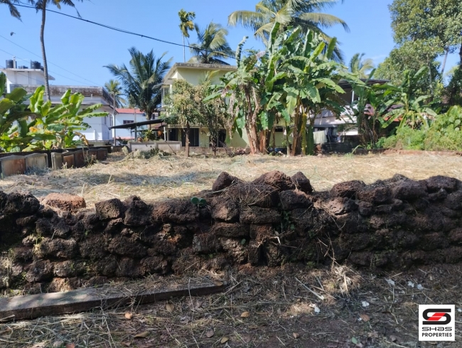 Plot  for sale  in Pallikkunnu, Kannur