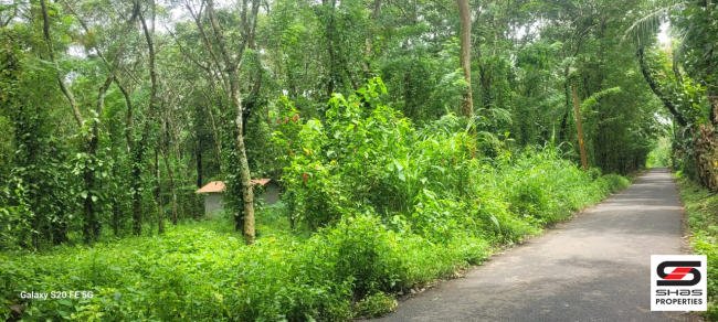 Land for sale near Padichira, Wayanad