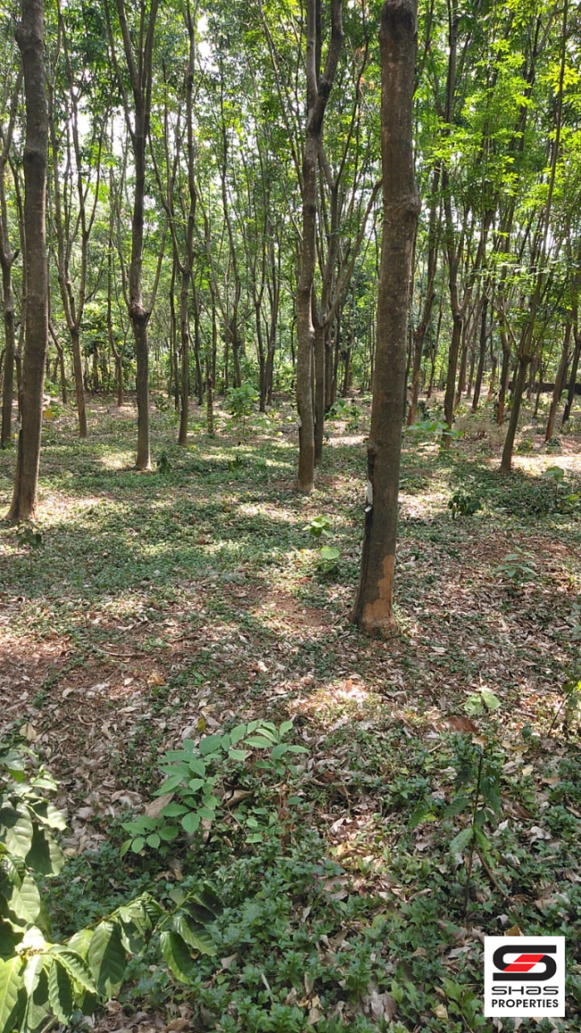 4.5 Acre plot for sale in Chelakkara, Thrissur