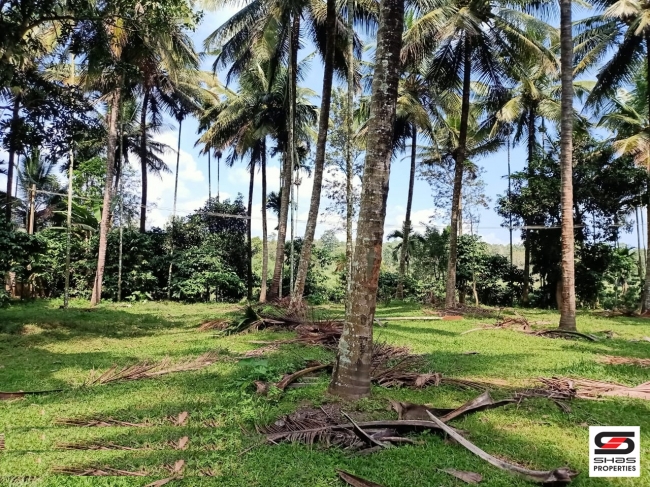 Farmland for sale in Pulpally, Wayanad
