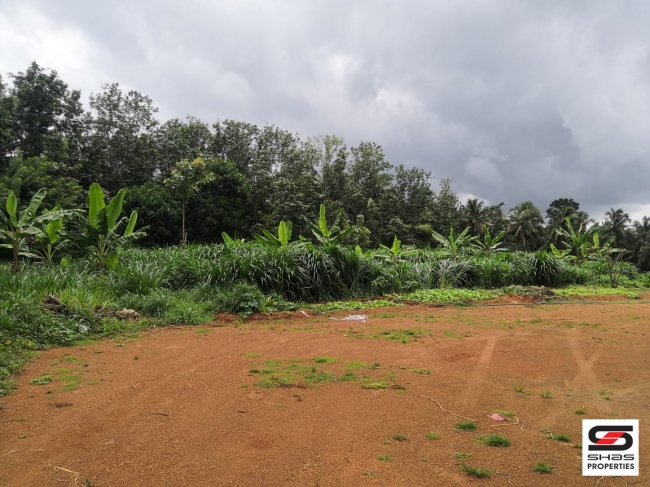 Dairy farm for sale at Vadakkanchery, Thrissur