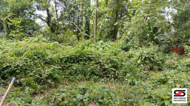 Residential plot for sale at Kakkad,Kannur