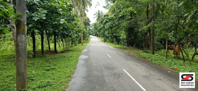 Farmland for sale in Malampuzha, Palakkad