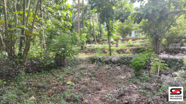 Land suitable for villa project for sale at Kannur