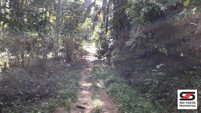 Land with house for sale in Kenichira, Wayanad