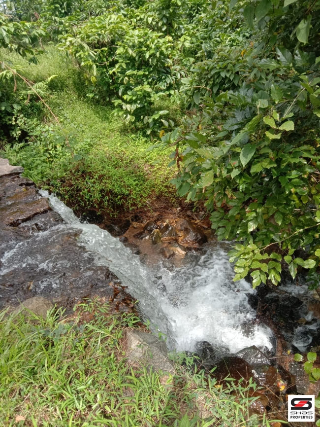 Resort land for sale near Mananthavady,Wayanad