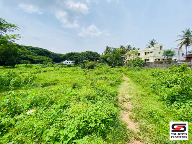 6 Cent house plot for sale in Olavakkode, Palakkad