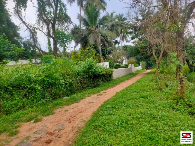 Commercial land for sale at Kallekkad,Palakkad