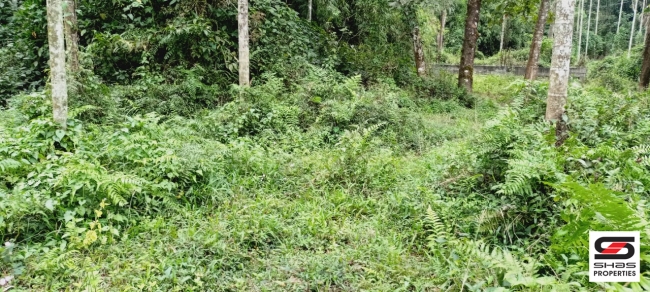 Plot for sale in Old Vythiri, Wayanad