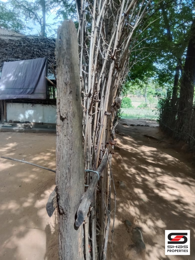 27 Cent house plot for sale In Pallassana, Palakkad