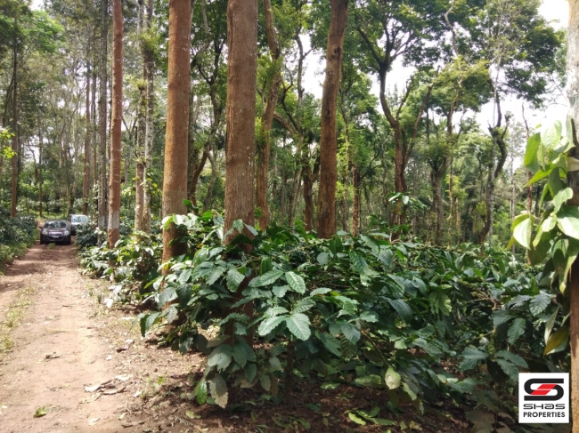 Coffee Estate for sale in Coorg, Karnataka