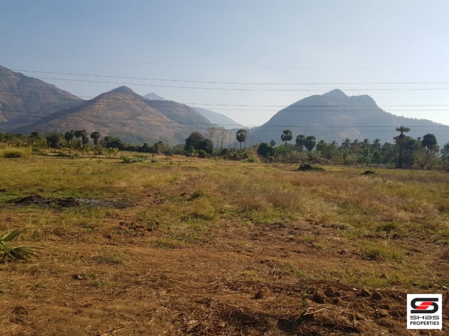 Farmland for Sale at Elevancherry, Palakkad