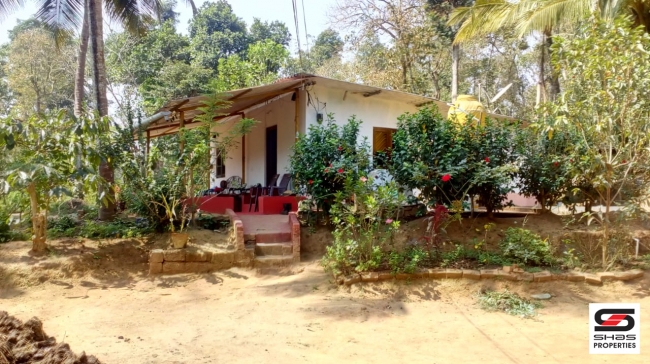 Farmland with farmhouse in Virajpet, Coorg for sale