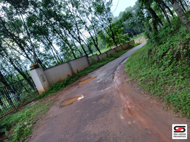 Farmland for sale in Kongad, Palakkad