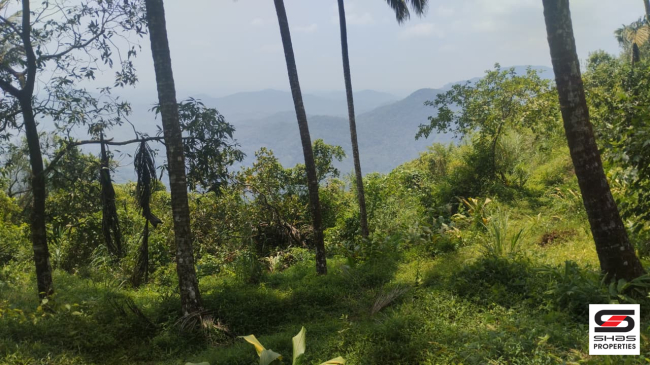 Land for sale in Paithalmala, Kannur
