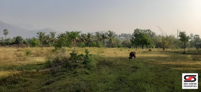 Land for sale at Kanjikode, Palakkad