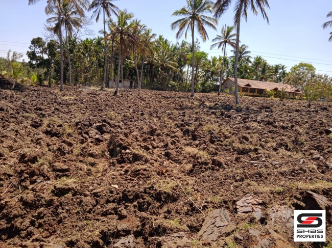 Agricultural land with farmhouse for sale in Coorg, Karnataka