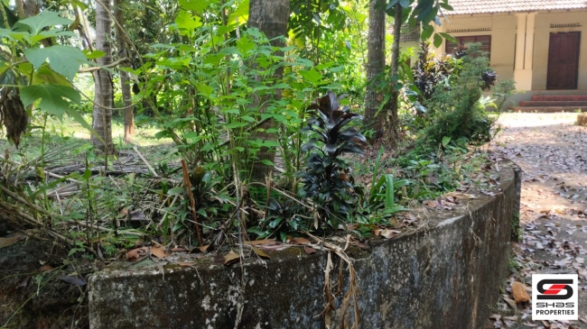 House plot for sale in Alavil,Kannur
