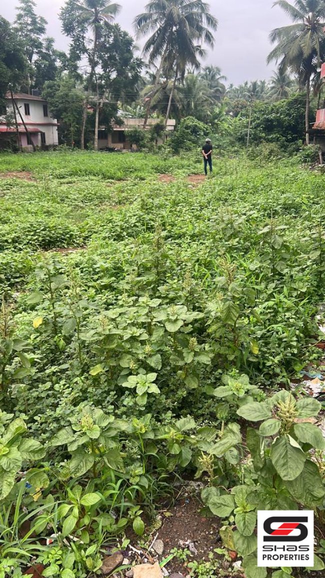 Commercial plot for sale in Ottappalam Town