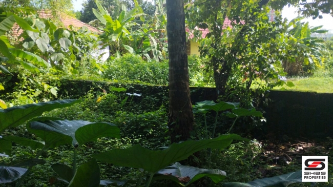 House plot for sale at Chala, Kannur