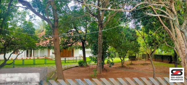 4 BHK house for sale in Palakkad Town