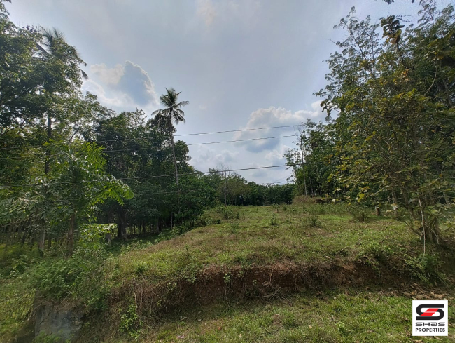 1 Acre plot for sale in Thodupuzha, Idukki