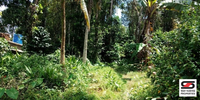 Land for sale in Kenichira, Wayanad Kerala