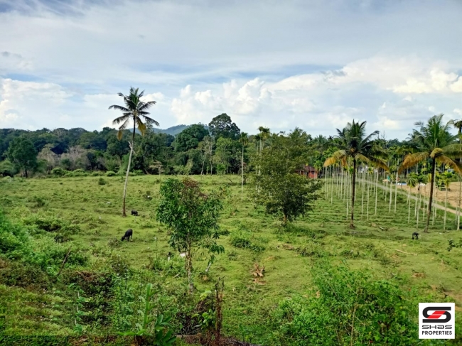 River view land for sale in Pulpally, Wayanad