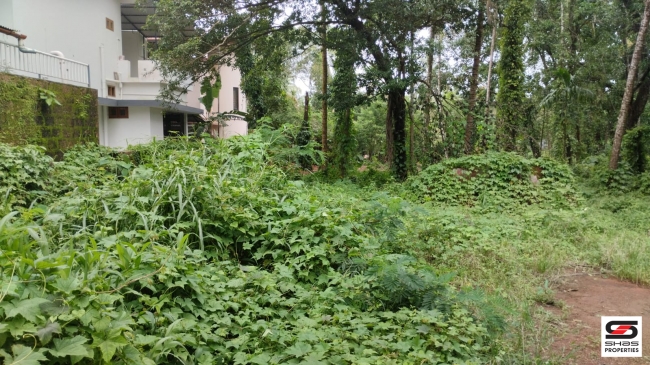 Residential plot for sale in Pallikunnu,Kannur