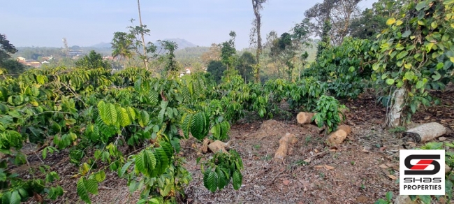Land for sale near Vythiri, Wayanad