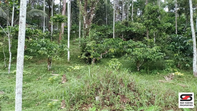 Plot for sale at Kenichira, Wayanad