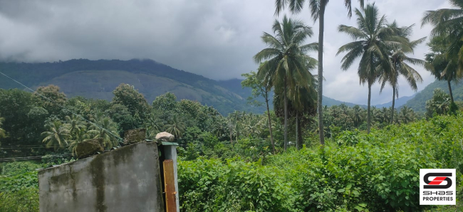 Resort land for sale near Malampuzha, Palakkad