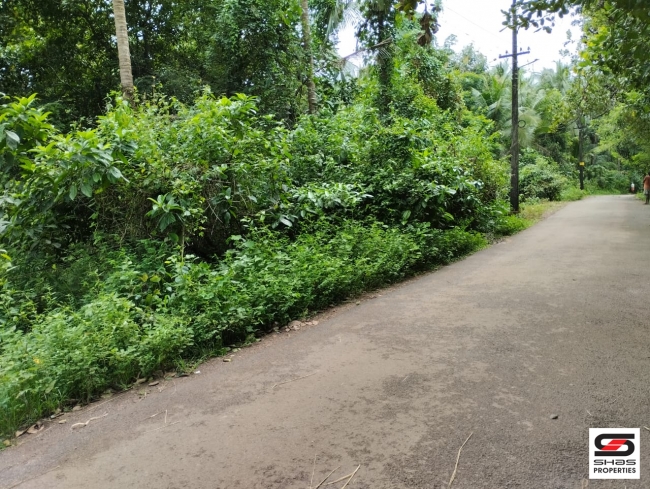 Plot for sale at Chala, Kannur