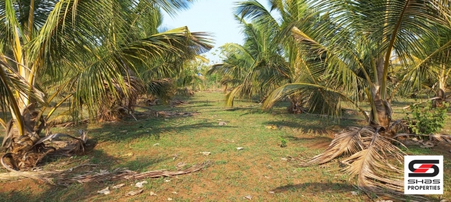 Farmland for sale in Eruthempathy, Palakkad