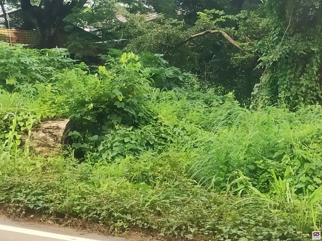 Commercial land for sale in Olavakkode, Palakkad