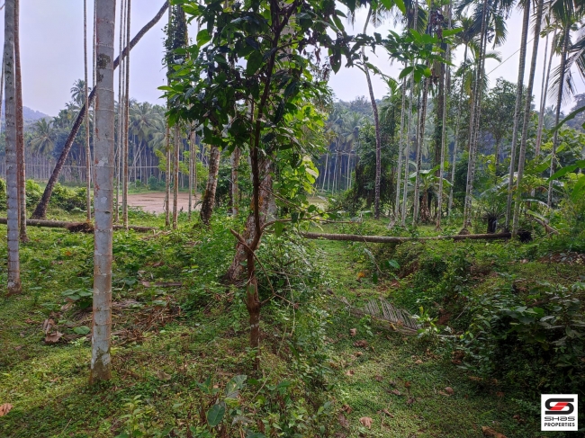 Land with traditional house for Sale at Mannarkad, Palakkad