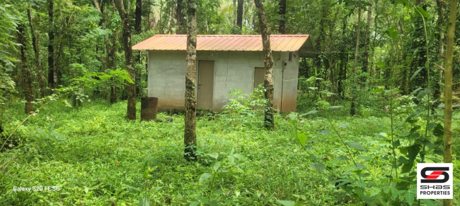 Land for sale near Padichira, Wayanad