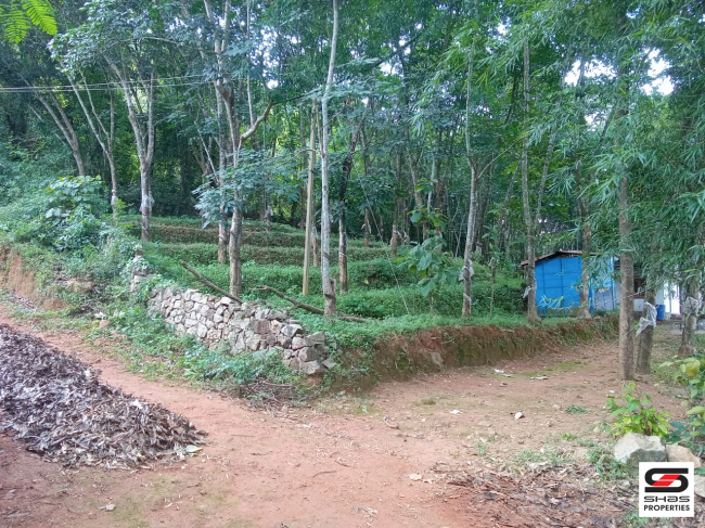 Land with 2 BHK house for sale in Kadampazhipuram, Palakkad
