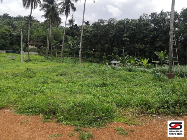 Dairy farm for sale at Vadakkanchery, Thrissur