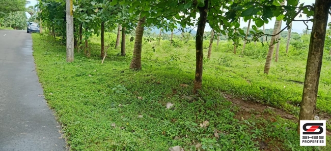 Farmland for sale in Malampuzha, Palakkad